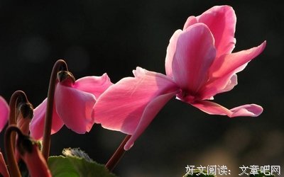 天高地厚的名句_关于天高地厚的名句