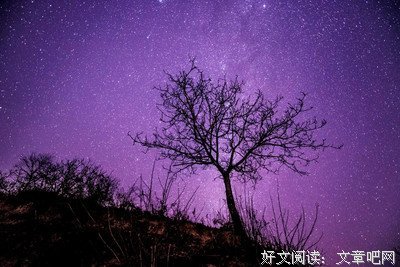 《观星记》