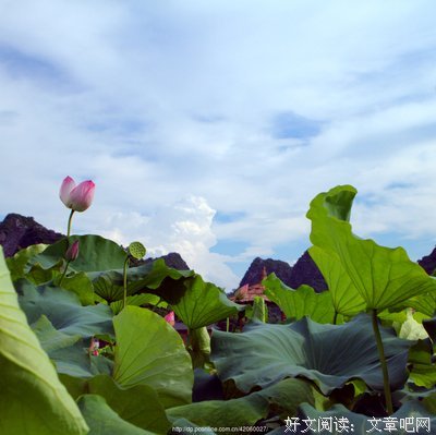 会时格多暮歌优美的句子