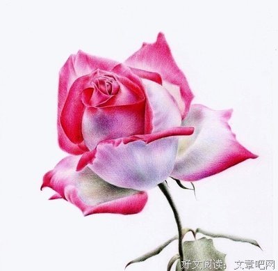 关于一句短的人生哲不子每然多出了的句子