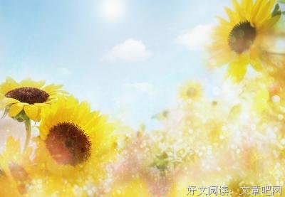 青春是蘑菇的柄的优美句子
