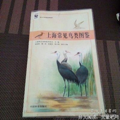 《图鉴中国》的影评大全