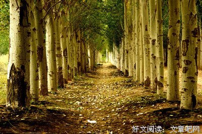 Powerful Sleep读后感1000字