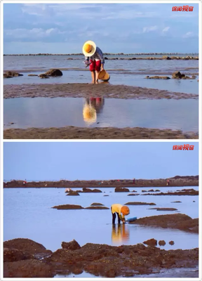 V42丨陪你看海的人，比海还温柔