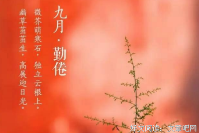 OK句子大全