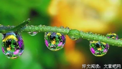 关于「与爱同行」的优美句子