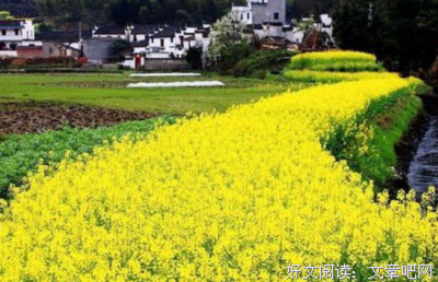 大杂烩句子大全
