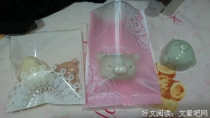 有关我的梦想的句子