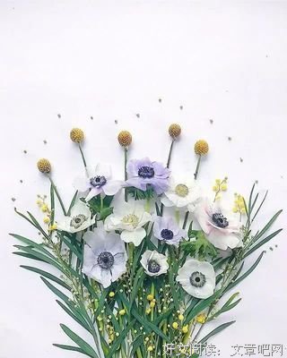 有关悟的句子