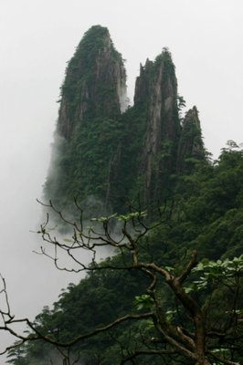 情经典名句