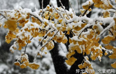离凛句子