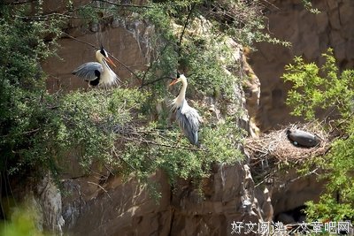 “我根本不知道你想干嘛”
