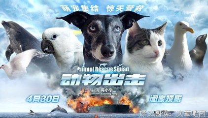 《动物出击》经典观后感有感