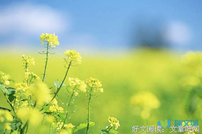 喜欢优美的句子