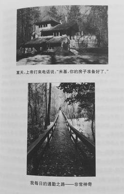 臣服實驗读后感摘抄