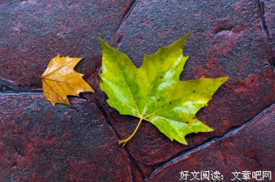 八寒的句子