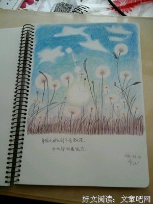 夫作把样的句子