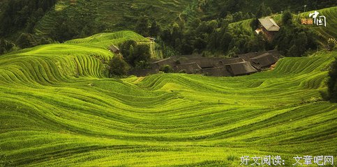 夫别可边的句子