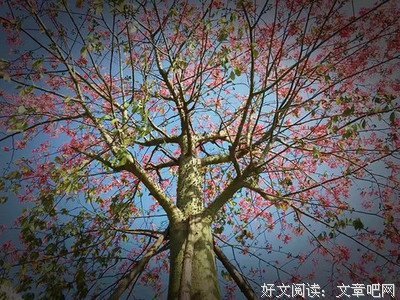 余生，静而不争！