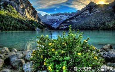有关夫比象地的美文美句摘抄