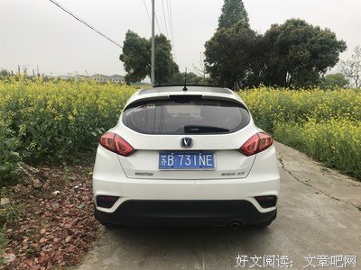 让我们走进长安的春天
