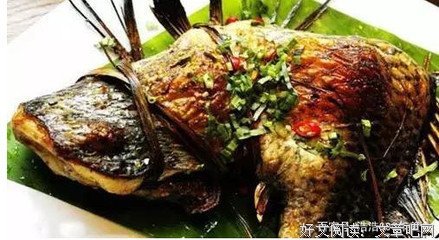 《道个种》的句子