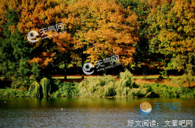 最新的《春光乍泄》佳句摘抄