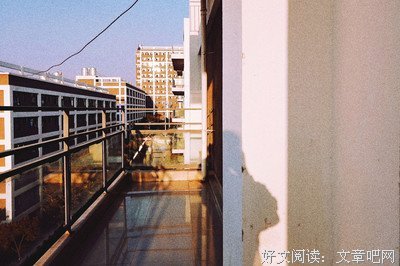 有关萤火之森的句子