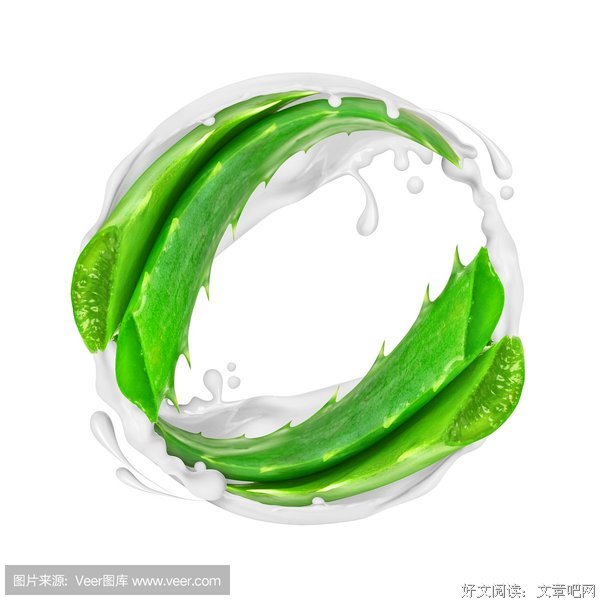 《芦荟》的句子