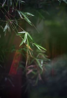 天不渡人，人需自渡！