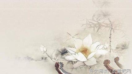 倾尽天下乱世繁华的句子