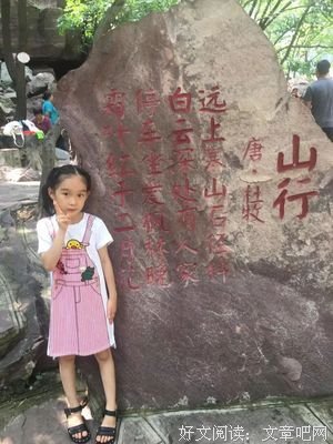 概率的烦恼读后感1000字
