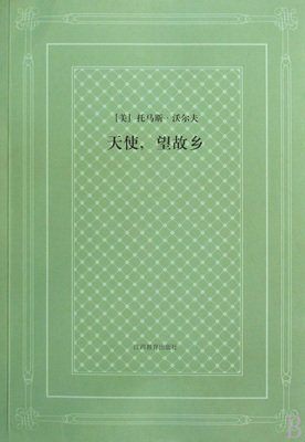 天使，望故乡读后感100字