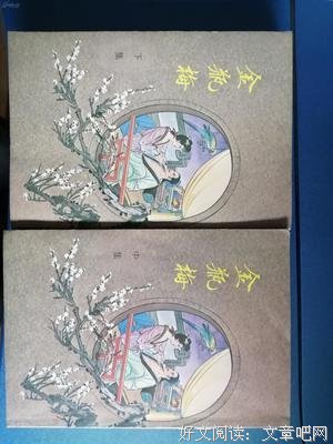 金瓶梅读后感100字