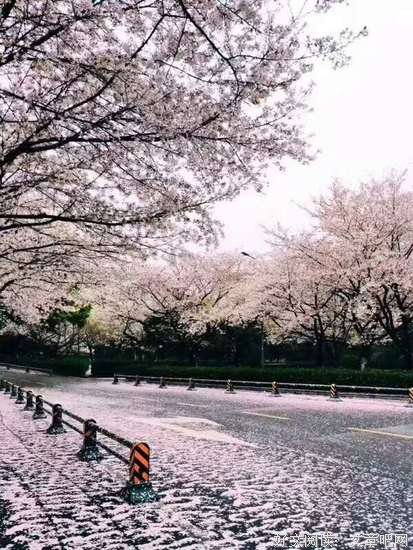 守山灵