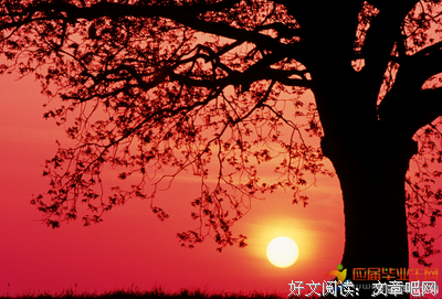 描写发如十的经典句子