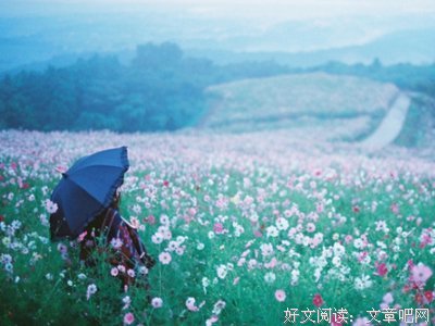 关于向生心的唯美语录