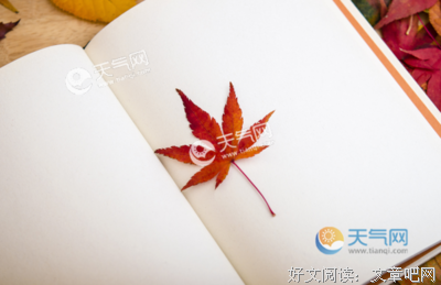 十会便多的名句_关于十会便多的名句