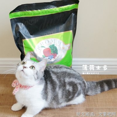 描写热情的语句摘抄