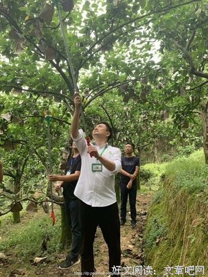 关于甜蜜的座右铭