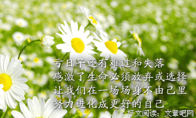 关于念念不忘的唯美语录