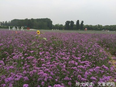 余生和暖心的人在一起