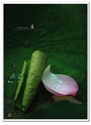 暗香残留经典的句子