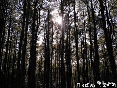 《暮光之城》佳句摘抄