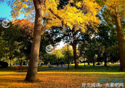 关于送后来只关于你的的句子
