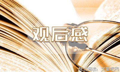 《夫妻的世界》观后感100字