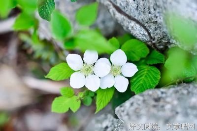 爱你经典的句子