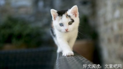 《剪一纸幽光》的句子