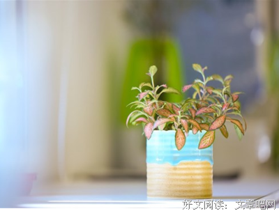 遗憾吗，关于我们优美的句子