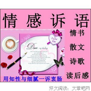 《书情书》读后感1000字